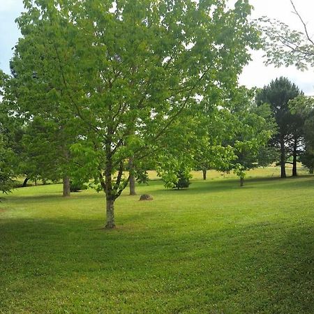 Une Pause Nature Chez Marion Et Cedric Montignac-Toupinerie Εξωτερικό φωτογραφία