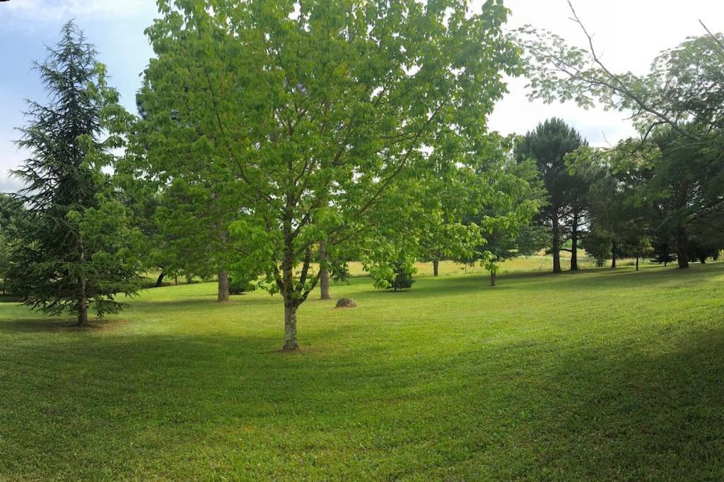 Une Pause Nature Chez Marion Et Cedric Montignac-Toupinerie Εξωτερικό φωτογραφία